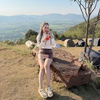 mammii_232538