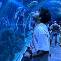 alecchi_lix