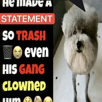 original sound - Low Taper Fade