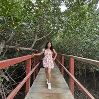 mariela_flores16