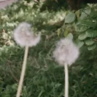 original sound - minhee.oy