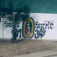 pedromv12