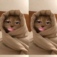 _zha_yun