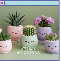 killarydetails