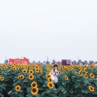 sunlover_____
