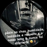 pedro33fe_