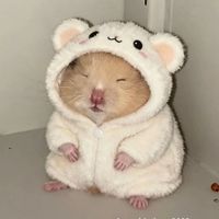 xiao.min76