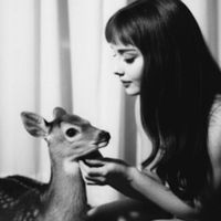 الصوت الأصلي