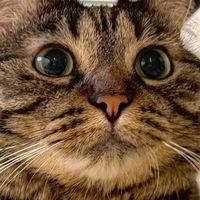 オリジナル楽曲 - きっと / KITTO