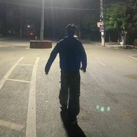 simshan10