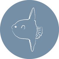 original sound - bil