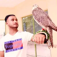 original sound - rjmohsin95