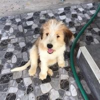 เสียงต้นฉบับ - #.บาสมันฮอต🖇💐.