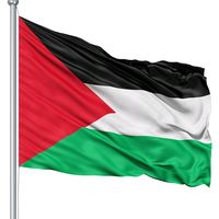 babaraligabol7