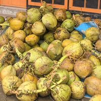 suara asli - Haerul Hadi