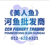 kingchai88