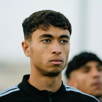الصوت الأصلي