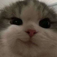 suara asli - Jagoan Neon