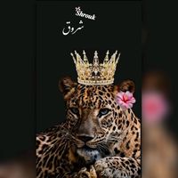 shroukmamdouh33