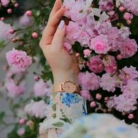 om_maher29