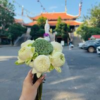 nhạc nền - 🍀 Hoa Minh🕊