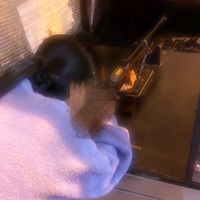 yuhi._.nano09