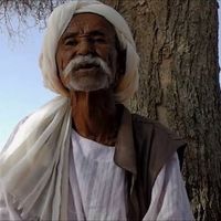 الصوت الأصلي