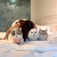 littlecfamily1
