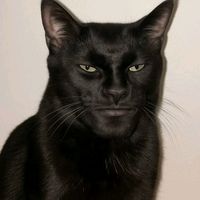 suara asli - lotong mantak