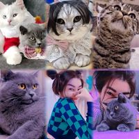 wearelovelycats