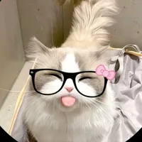 original sound - littlepihu10