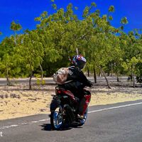 nhạc nền - Thái Tử 68_Y16zr⚡️