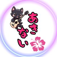 オリジナル楽曲 - ハンマー🌺