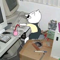 original sound -  ̊ʚ♡ɞ ̊