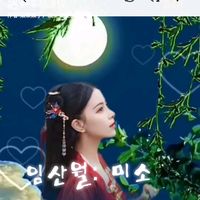 오리지널 사운드 - LINshanyue