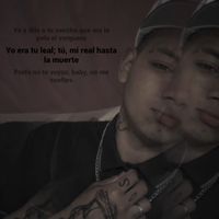 tu.favo152