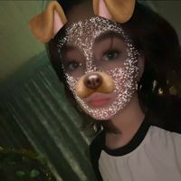 alice.exe1463