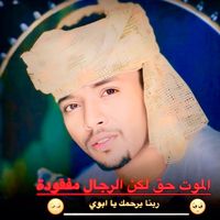 mohamed55619