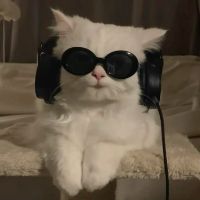hhmusichits