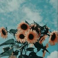 zodiac_.initials._