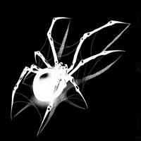 original sound - triprdna20