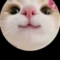 merabeltiktok.com