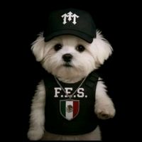lonche_fes07