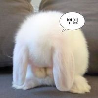 yeeunhong