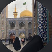 taherasalman20