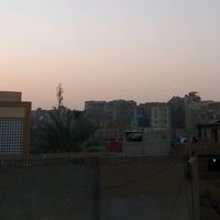 ziddi.janek