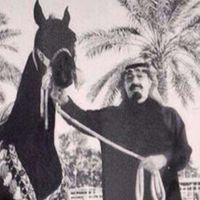 الصوت الأصلي