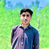 rahidamir5