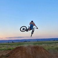 riley_sylvester