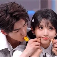 hachvi.verchillchill